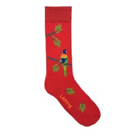 Rainbow Lorikeet Socks