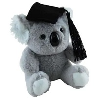 Graduation Koala - 11cm